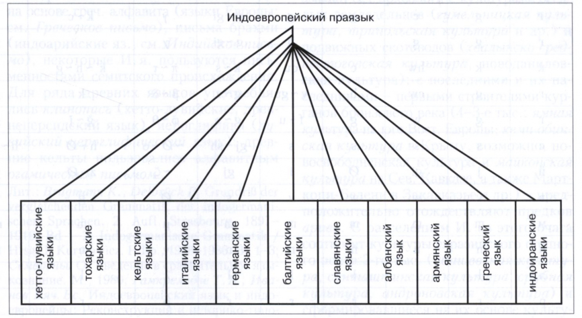 Индоевропейские языки,