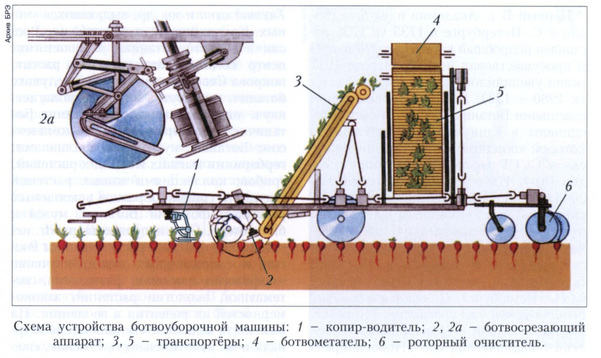 Ботвоуборочная машина