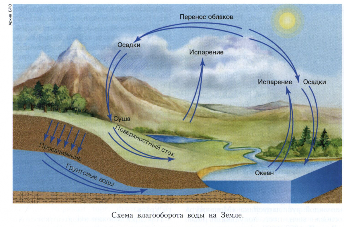 Влагооборoт 