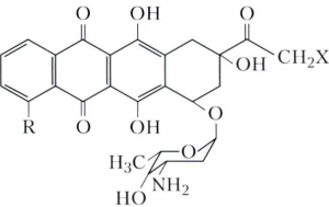 АНТРАЦИКЛИНОВЫЕ АНТИБИОТИКИ