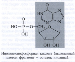 Инозинмонофoсфорная кислота