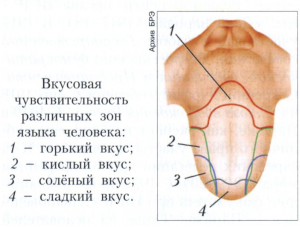 Вкус, ощущение