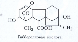 Гиббереллины