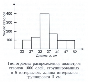 Гистограмма 